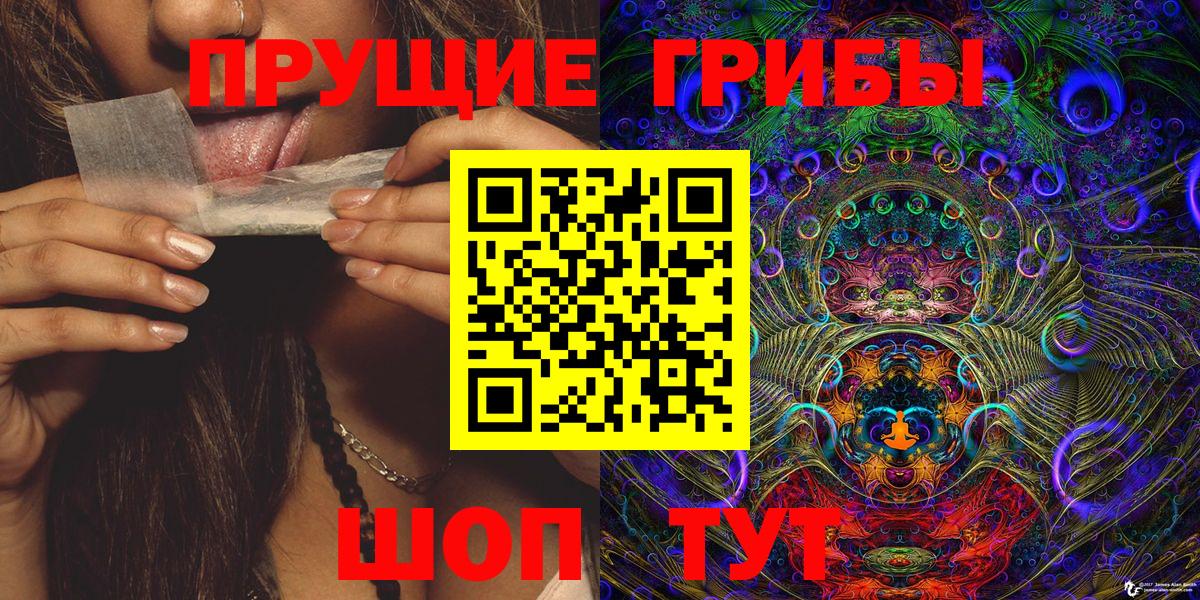 Галлюциногенные грибы Psilocybe  Вход с VPN  Псилоцибиновые грибы ЛСД  Кунгур 