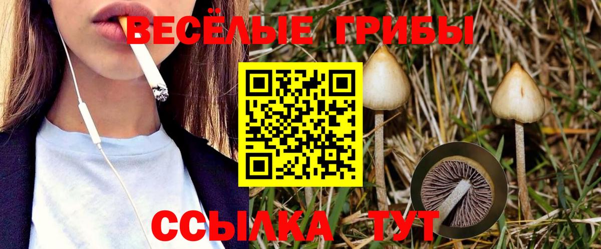 Галлюциногенные грибы мухоморы Кунгур